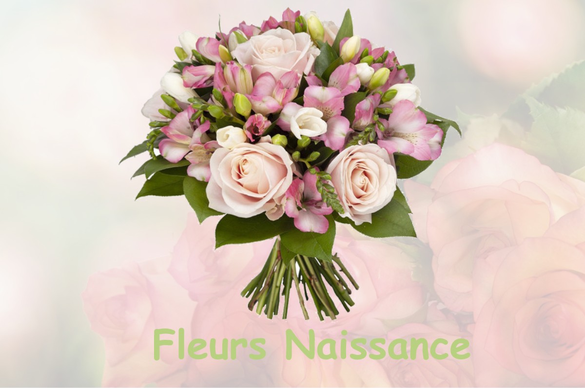 fleurs naissance VASSELIN