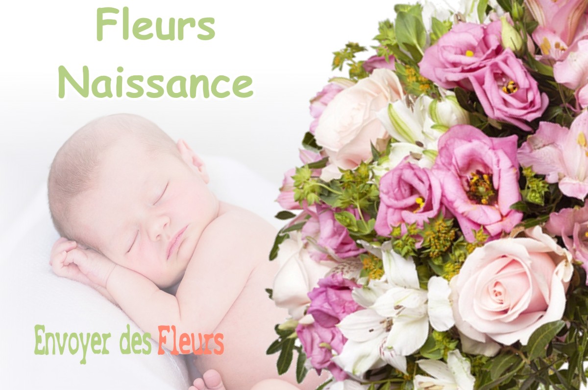 lIVRAISON FLEURS NAISSANCE à VASSELIN