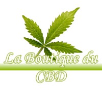 LA BOUTIQUE DU CBD VASSELIN 